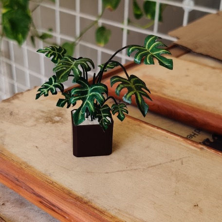 Mini Monstera Plant Tutorial 