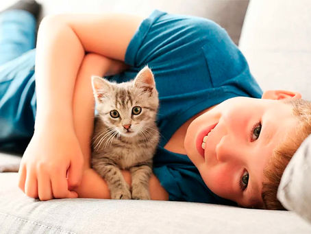 ¿Por que un niño debería crecer con una mascota?
