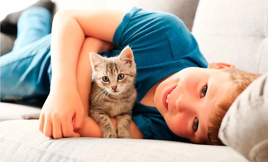 ¿Por que un niño debería crecer con una mascota?