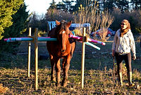 DSC_0047.JPG