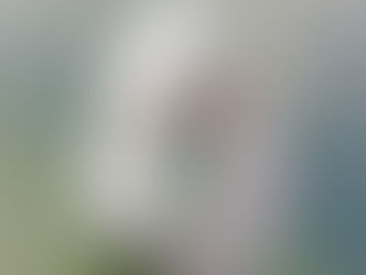 أسطورة الخلق في مرويّات الصّابئة المندائيّة