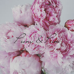 309394196_486249556574378_7992928560176563824_n