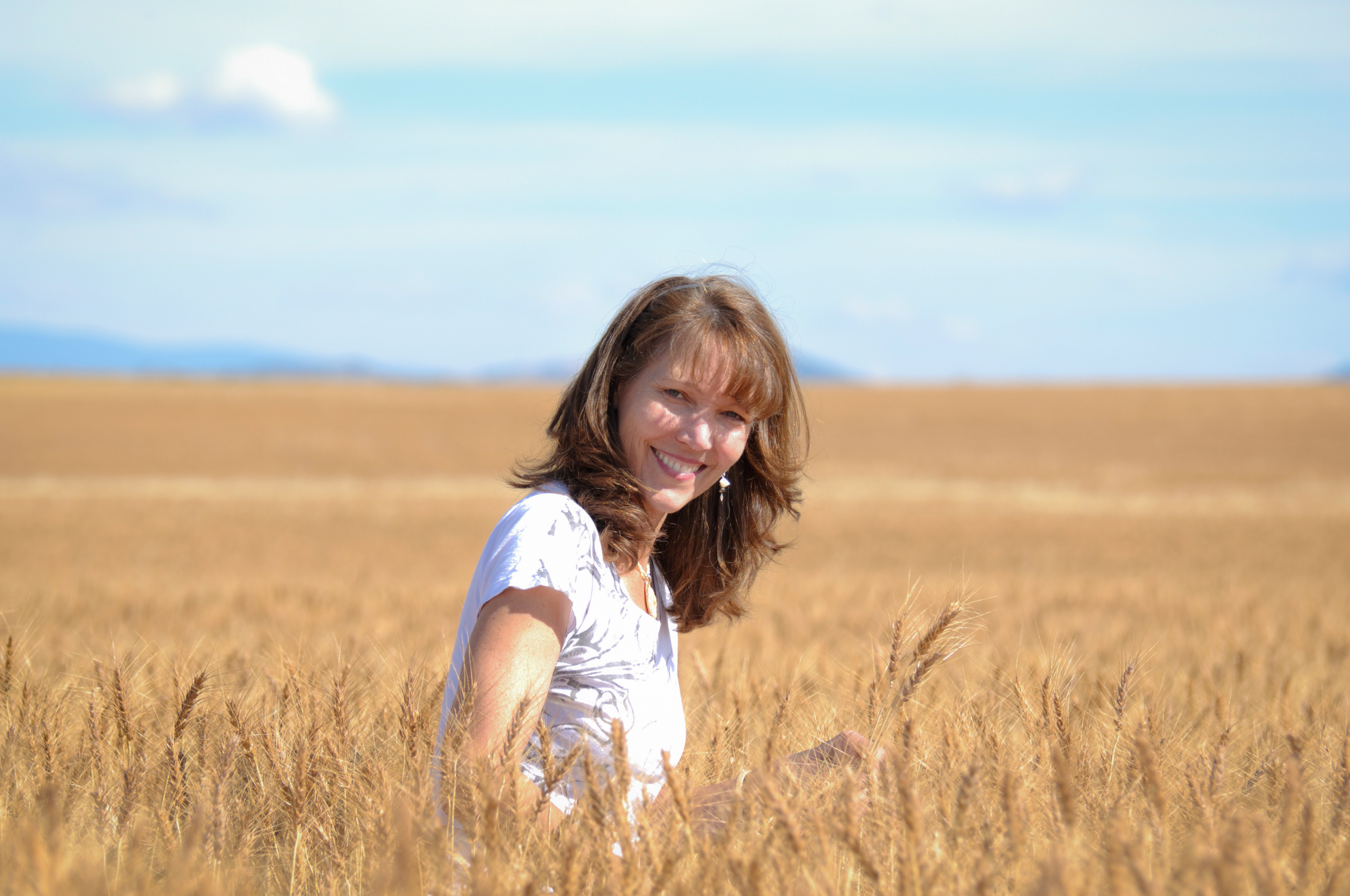 Wheat Fields in Montana
