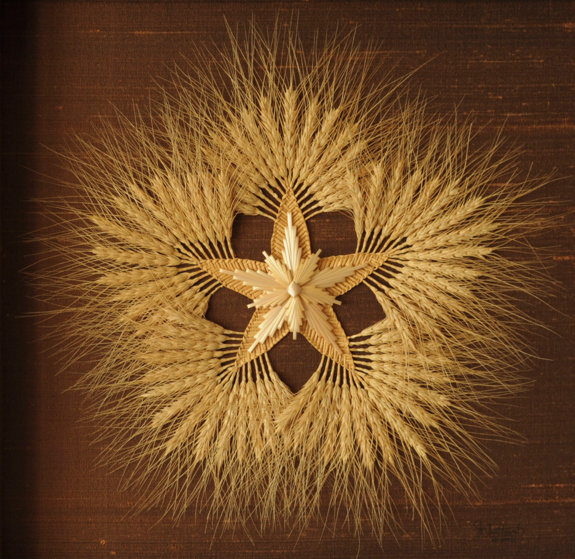 Wall Art Gallery - Prairie Star