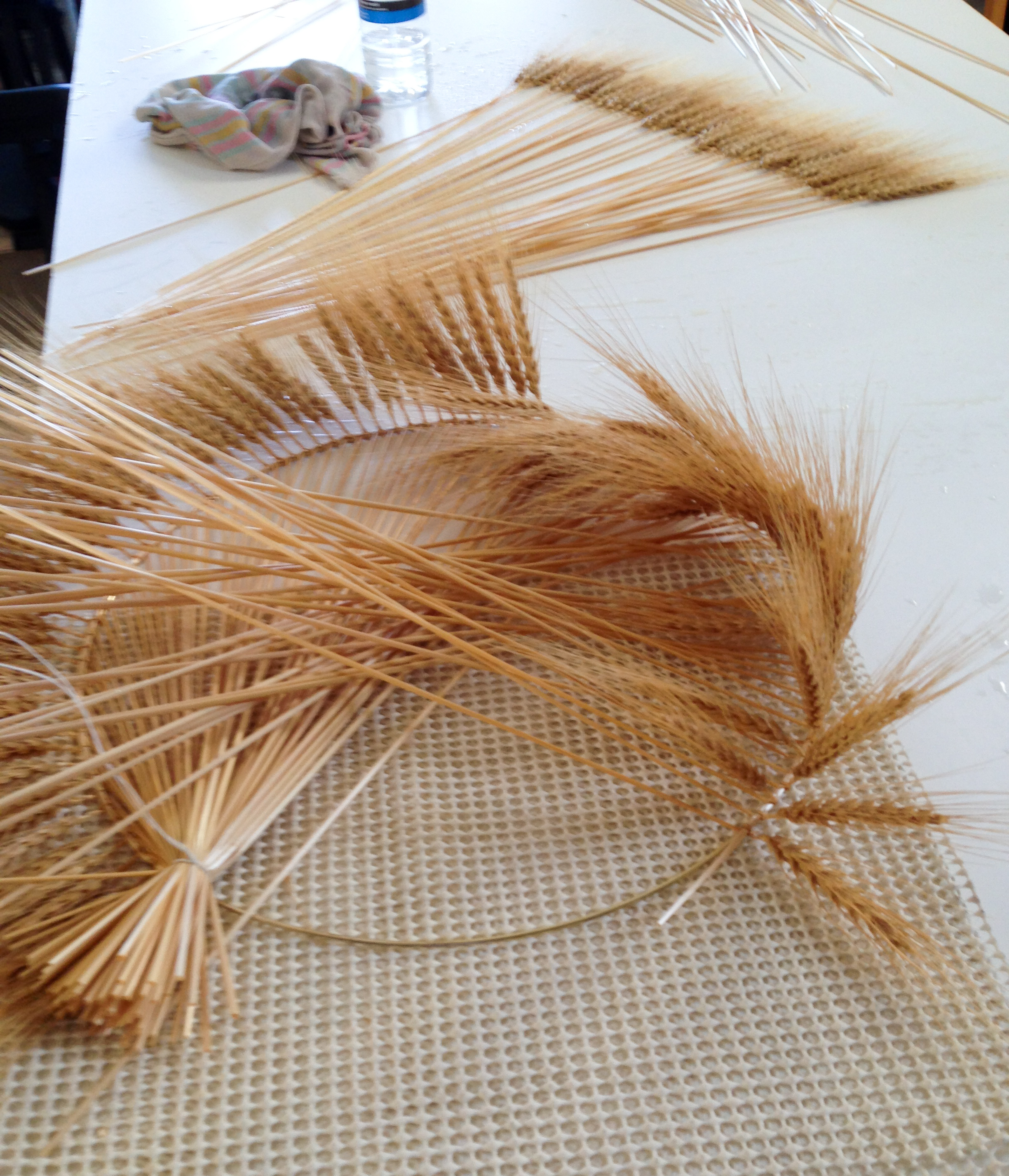 Circle of Wheat