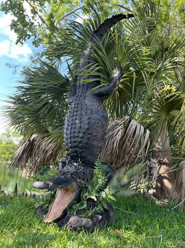 Alligator skin preservation