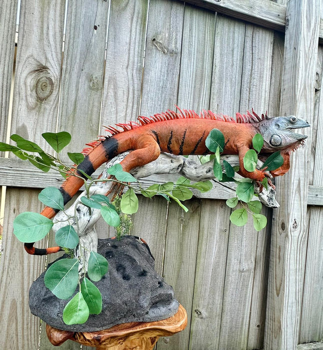 Florida exotic mounts