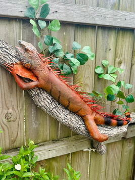 Iguana wall mount