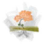 Greenspace: Cinderella