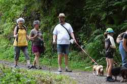 Messenger_creation_4E2C0C6D-7E71-4C6D-9195-8DCE93325E34