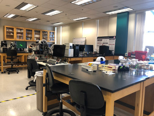 Seminar for STEM Students Oct 27!