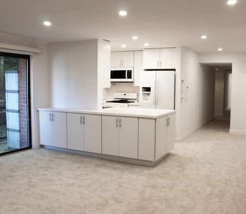 Takoma Park Kitchen 1