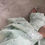 Thumbnail: Heera’s - pastel green cotton 3pc suit