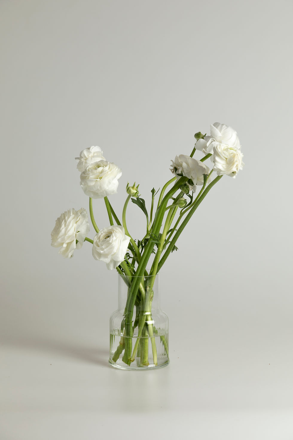 Miniatura: | FLORERO LINEAS  |