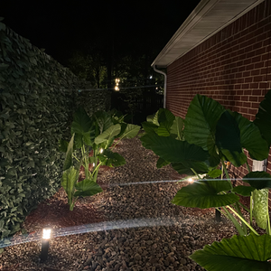Illuminated Garden Path