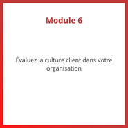 Programme CX PLUS - Module 6 évaluez la culture client dans votre organisation