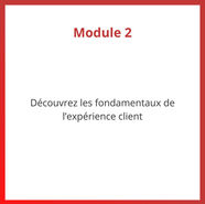 Programme CX PLUS - Module 2 Fondamentaux
