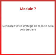 Programme CX PLUS - Module 7 Définissez votre stratégie de collecte de la voix du client