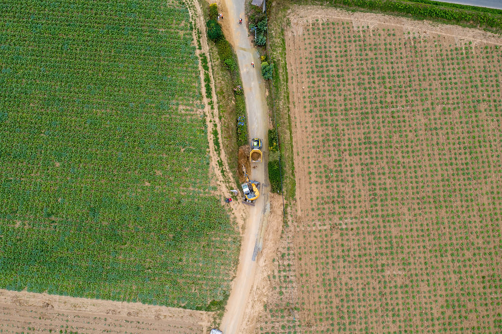 DJI_0660