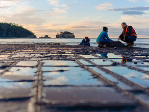 Kelpics and the University of Tasmania collaborate on sustainable materials