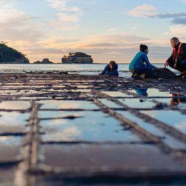 Kelpics and the University of Tasmania collaborate on sustainable materials