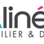 alinea- logo_edited_edited.jpg