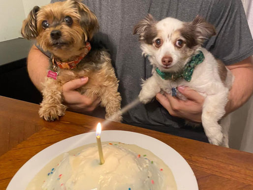 Birthday Cake