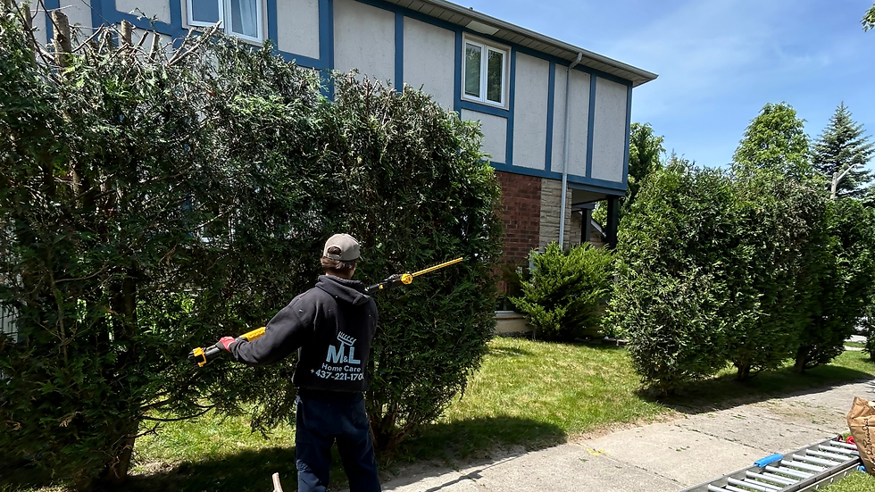 www.mnlhomeimprovements.ca (19).png