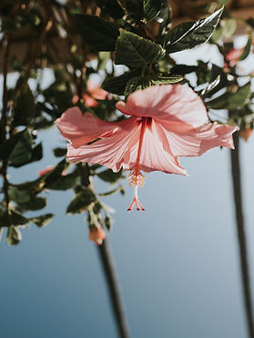 unsplash-YwWMUAJX9wE_edited_edited.jpg