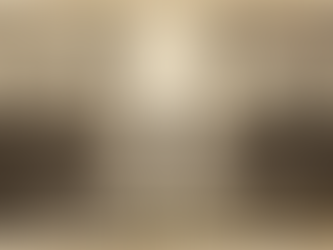 THE AMERICAN DREAM — BORN IN A NEW YORK BOXING RING