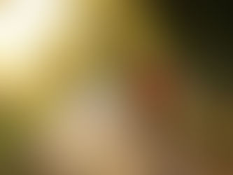 Mit Schritten Geld verdienen: So läuft’s mit Macadam