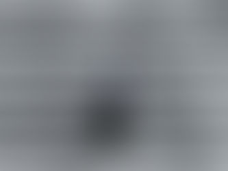 A focused person working on a laptop, symbolizing consistent online income through simple, transparent systems like VestChance.