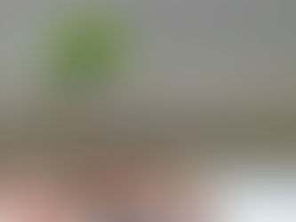 Symbolbild Zinseszinseffekt – Pflanze wächst aus einem Glas voller Geldmünzen als Metapher für Vermögenswachstum