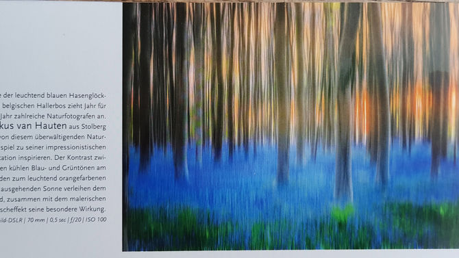 Naturfoto, 6/2018