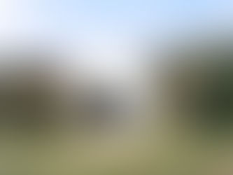 Experience Exceptional Board and Train Services at Miller Eventing