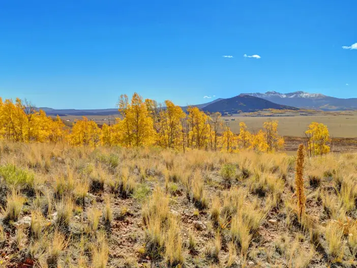 Meier Four Mile Ranch