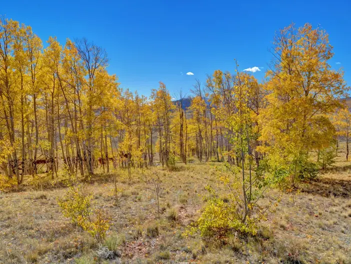 Meier Four Mile Ranch