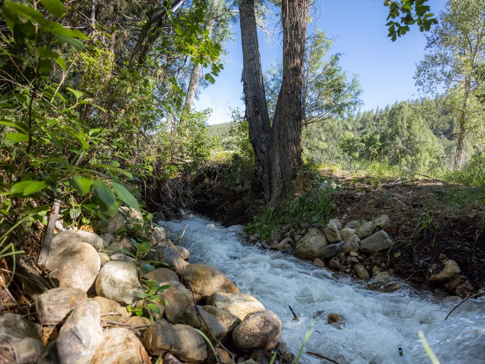 Properties GW Ranch & Land Colorado, New Mexico