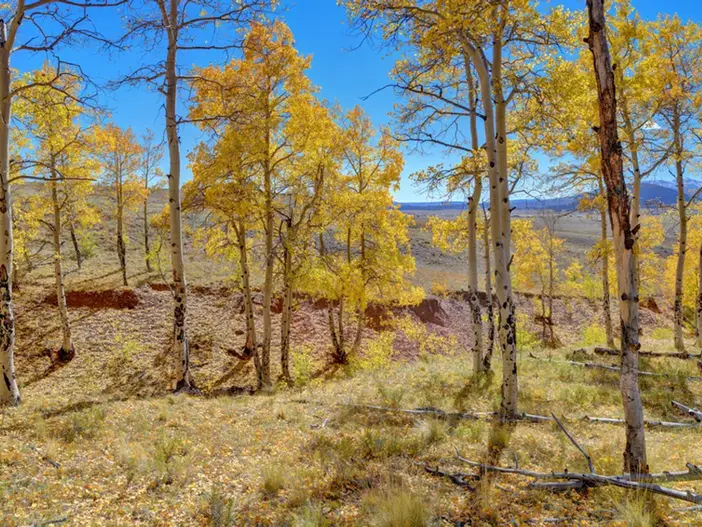 Meier Four Mile Ranch