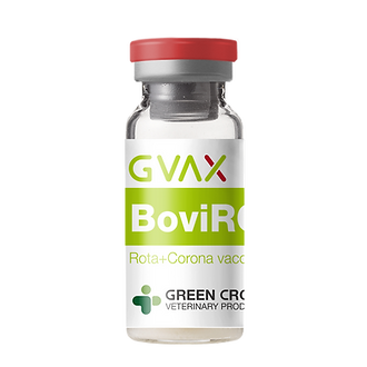 GVAX BoviROCO