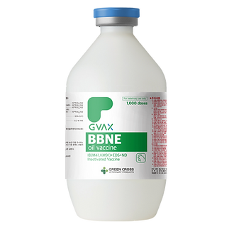 GVAX BBNE oil vaccine inj.