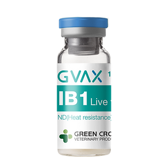 GVAX IB1 Live vaccine