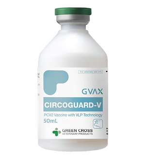 GVAX Circoguard-v