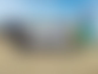 녹십자수의약품, 모도서 고양이 130마리 수의봉사 펼쳐