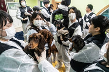 녹십자수의약품, ESG 경영 일환 유기동물 봉사 및 동물용의약품 후원