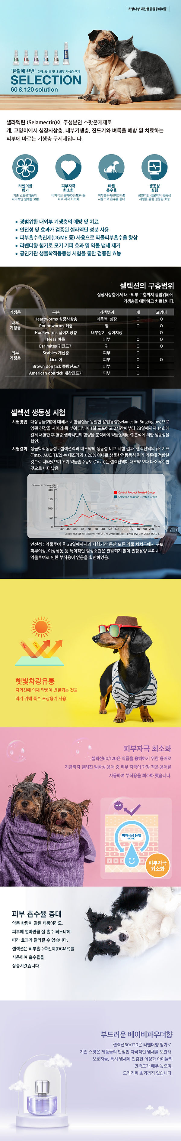 셀렉션-1.jpg