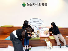 녹십자수의약품 ‘반려동물도 함께 출근해요’