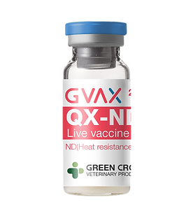 GVAX IB(Qx), ND combined live vaccine