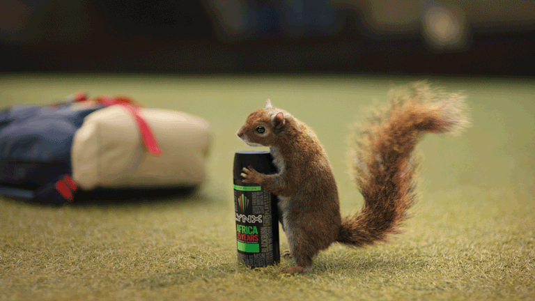 75f12a95934785.5ea2d30167375.gif