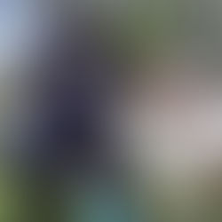 Los animales no son regalos: esta Navidad, elige una adopción responsable